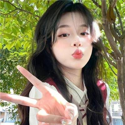 两朴之争