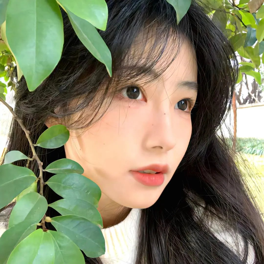 少女与狼